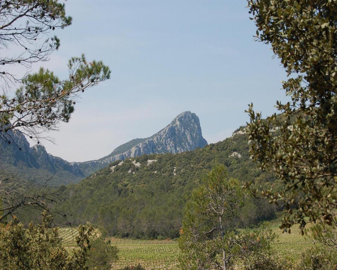 Domaine Du Bois Gite Marion Galargues Exteriér fotografie