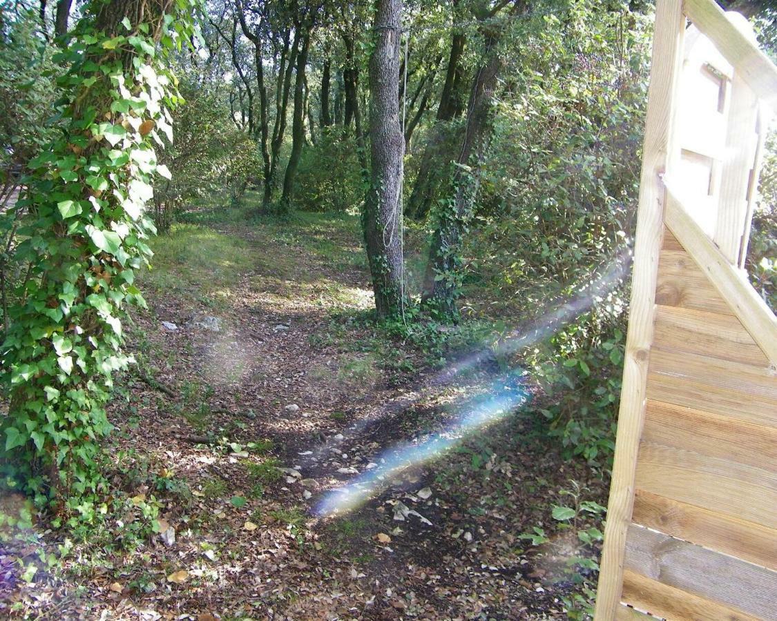 Domaine Du Bois Gite Marion Galargues Exteriér fotografie